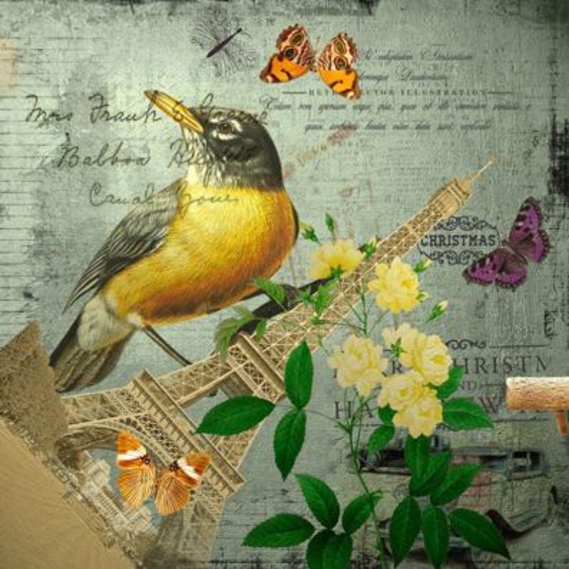 Famous Bird and Flower Poster Bird Art Sweet Home Decoration  Suppliers, Products