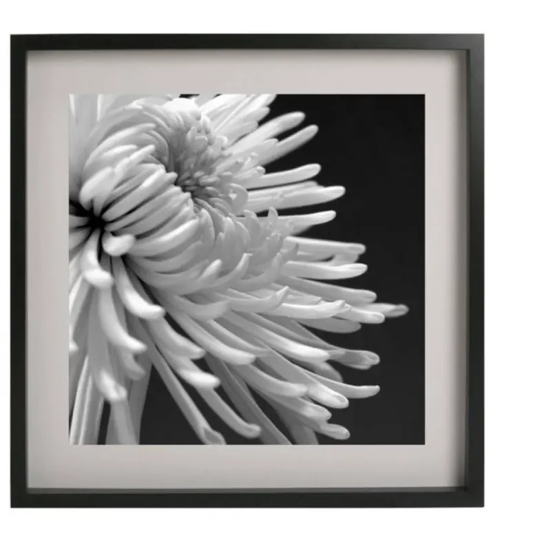 Gallery perfect gallery wall kit with square photo frames arrangement