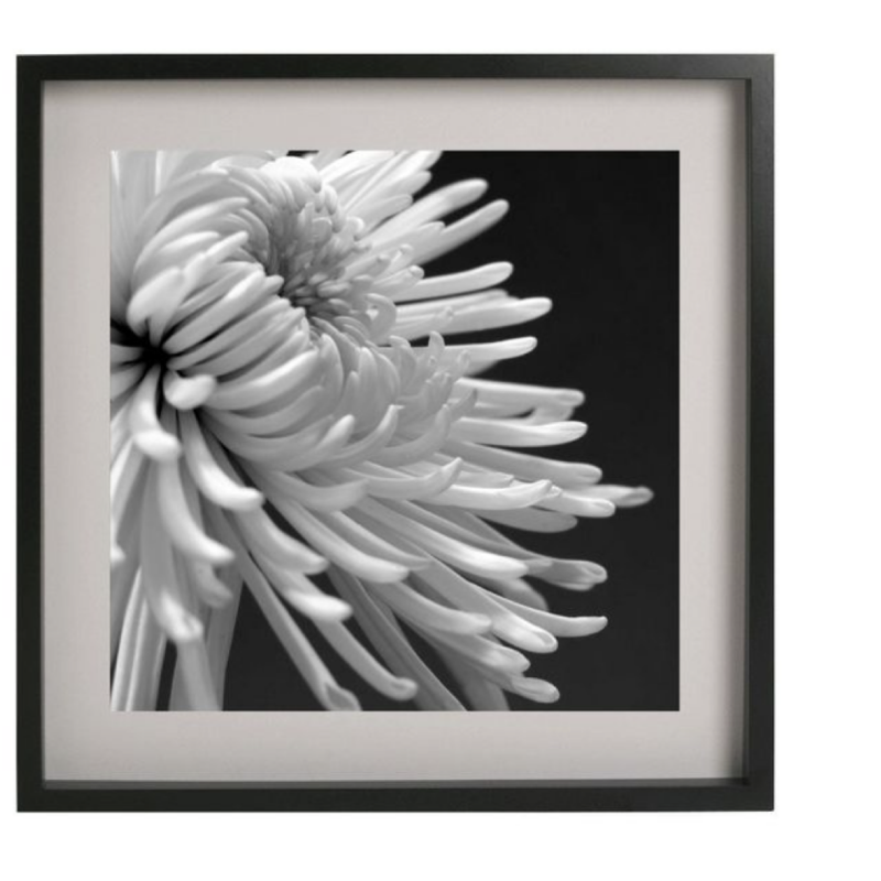 Custom Gallery Perfect Gallery Wall Kit Square Photos with Hanging Template Picture Frame Set Picture Frames Wholesale Manufacturer, Supplier