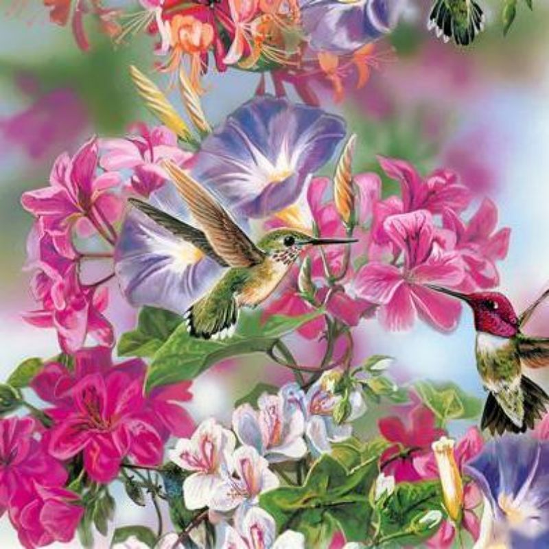 Famous Bird and Flower Poster Bird Art Sweet Home Decoration  Suppliers, Products