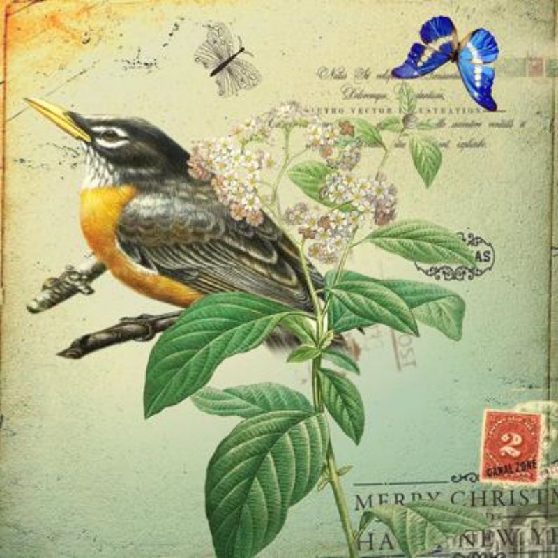 Famous Bird and Flower Poster Bird Art Sweet Home Decoration  Suppliers, Products