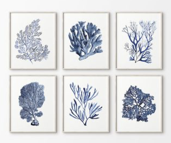 Wall Art Display 3