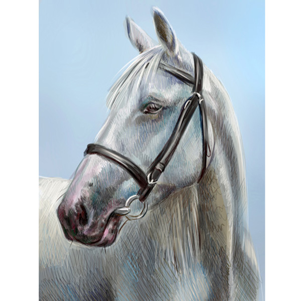 Custom White Horse Portraits Oil Painting On Canvas Manufacturer, Pricelist