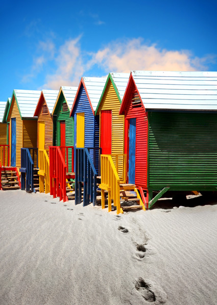 Art View 6