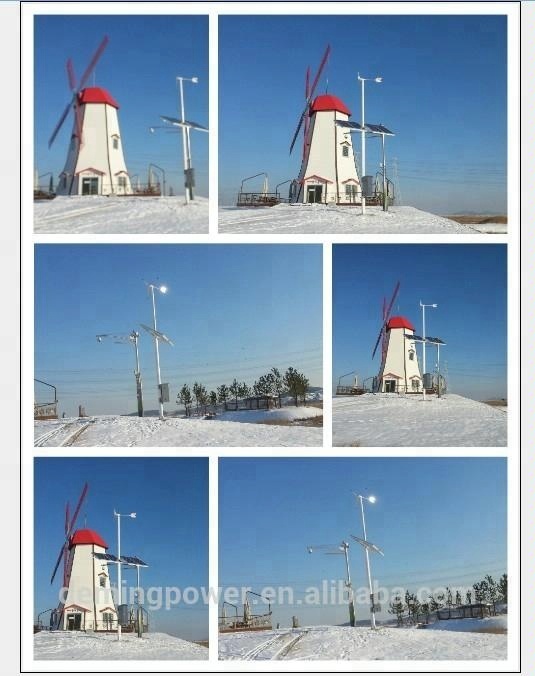 Latest Best Product in the Industry 800W Homemade Wind Generator Wind Turbine With 5 Blades