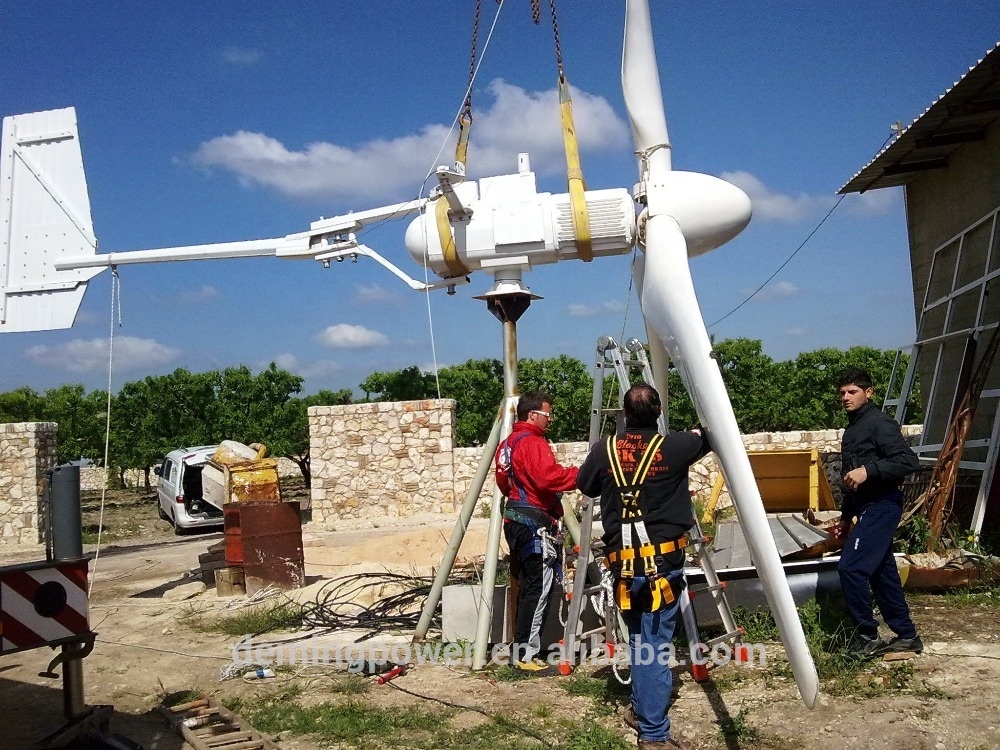 High Power Excellent Technical Team Manufacturing 5KW Wind Turbine 48V 220V Wind Turbine Generator