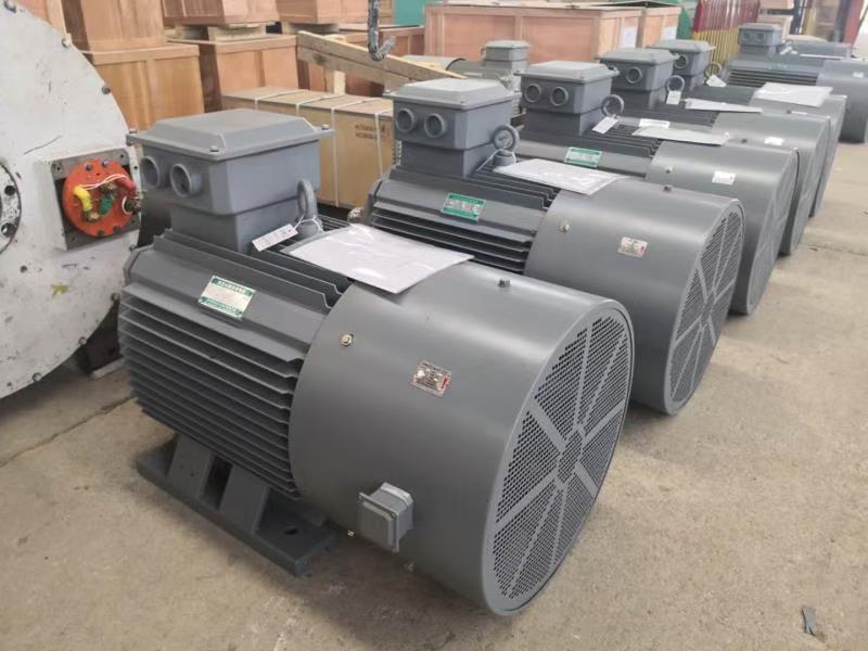 200KW 300KW Hydro Generator Stabilizer for Stable Voltage and Frequency Converter in Grid-Connected and Off-Grid Systems
