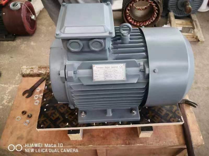 High Quality 3 Phase AC380V50HZ 60HZ Water Turbine Generators Mini Hydro Generator 30kw 40kw 50kw 60kw Hydraulic Turbine