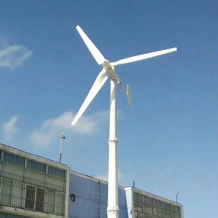 1000w  Wind Turbine Generator System Horizontal Axis Wind Turbines for home