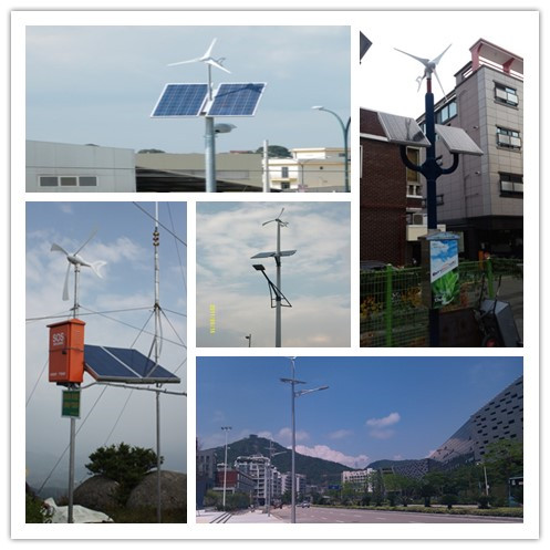 Latest Best Product in the Industry 800W Homemade Wind Generator Wind Turbine With 5 Blades