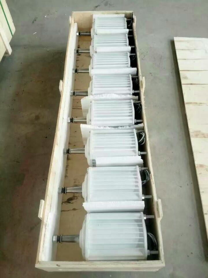 2000W Small Wind Turbine 48/96V/110V for Home Use Wind Generator for Efficient Power Solution