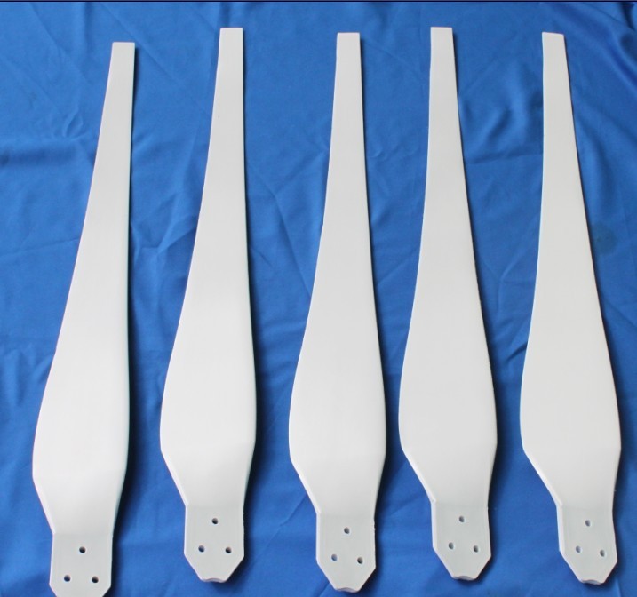 Latest Best Product in the Industry 800W Homemade Wind Generator Wind Turbine With 5 Blades