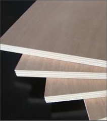 Material 6