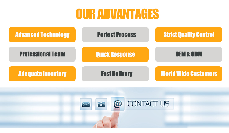 Our Advantages Infographic