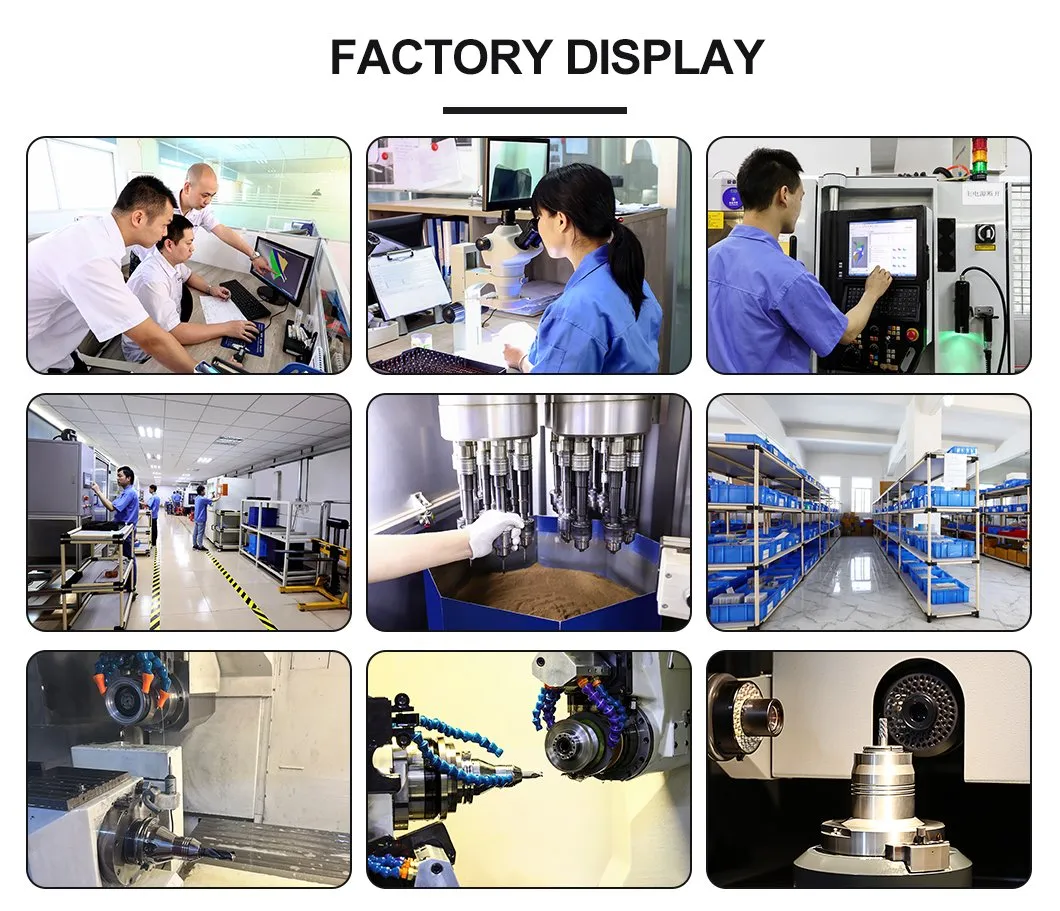 Company Plant Production Lines