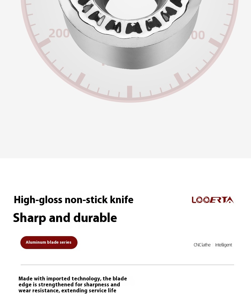 Carbide Insert Detail 7