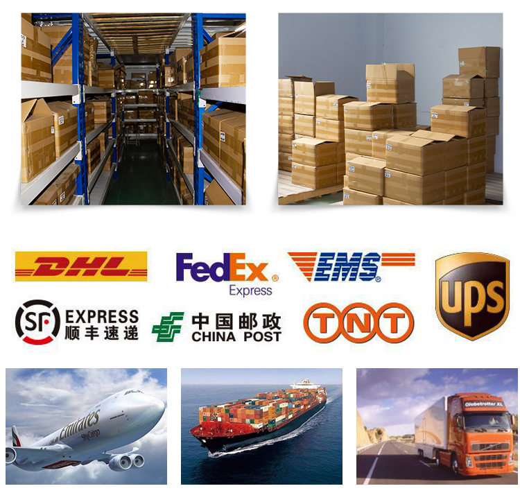 Shipping Logistics