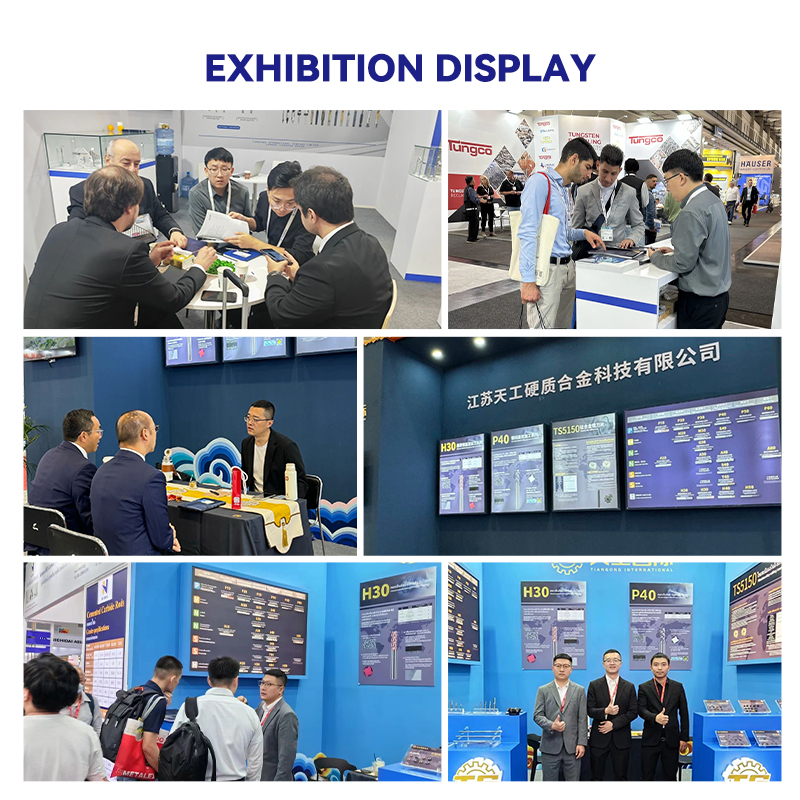 Exhibition Image