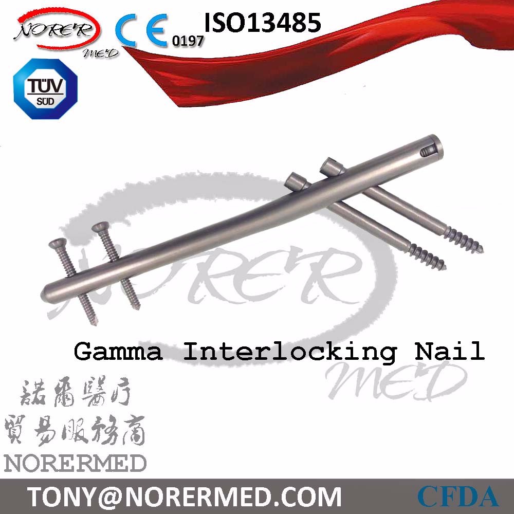 Orthopedic Femoral Femur Gama Interlocking Nail