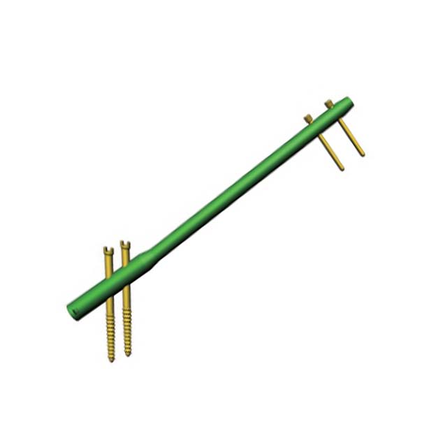 Human Orthopedic Titanium Femoral Femur  Interlocking Nail  GAMA