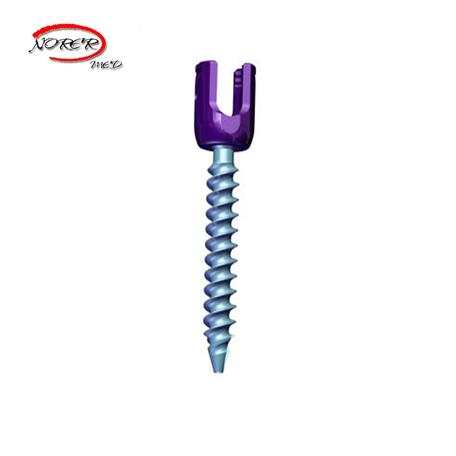 Human /Veterinary Orthopedic Titanium Spine Uniplanar Pedicle Poly Screw for Fixation