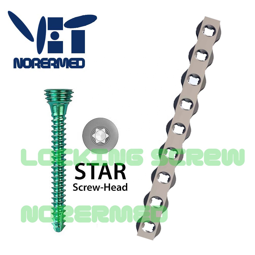 Chinese Titanium  Locking Screw