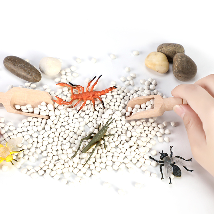 EDUsense Autism Montessori Sensory Sorting Tray Insect World Learning Sensory Integration Toy Kit Preschool Educational Toy Set