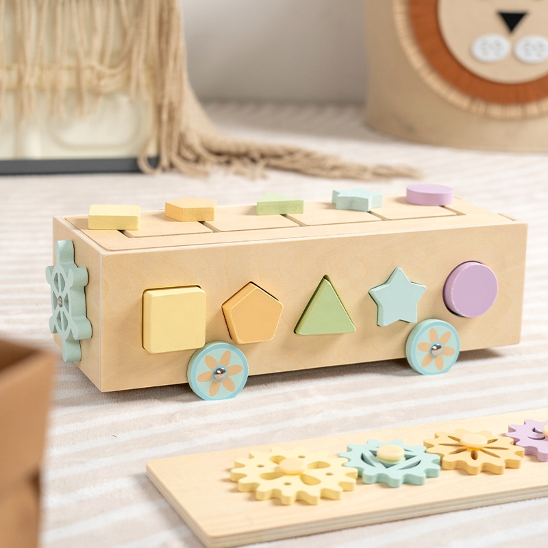 Color &amp; Shape Sorting Learning Matching Toys, Kids Montessori Toys, Preschool Early Learning Educational Toys for Baby Toddlers