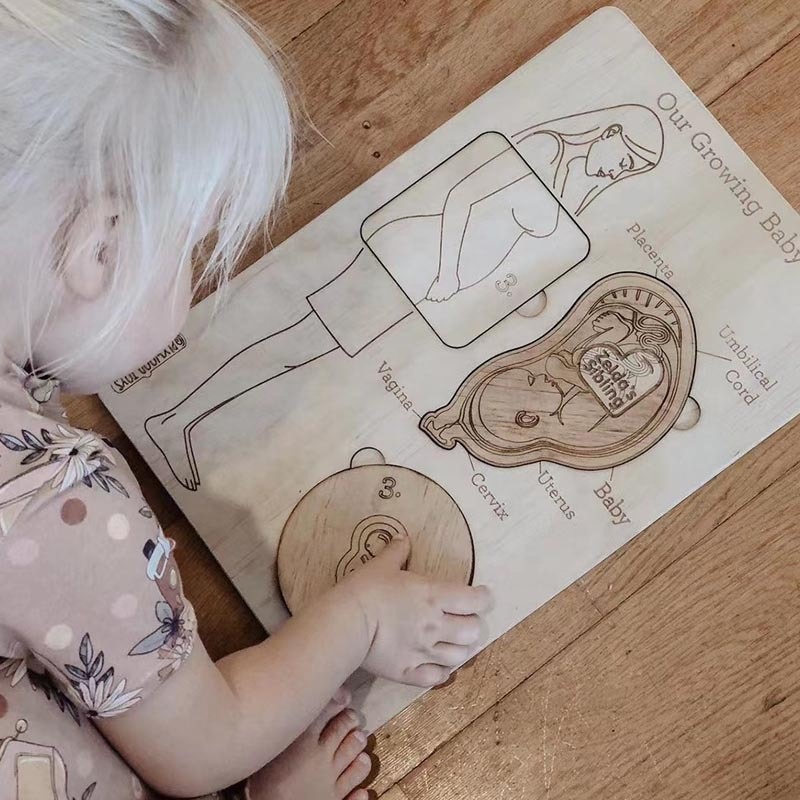 Preschool Wood Game Early Educational Learn Pregnant Mom Human Body Parts Montessori Toy Wooden Magnetic 3D Puzzles for Toddlers