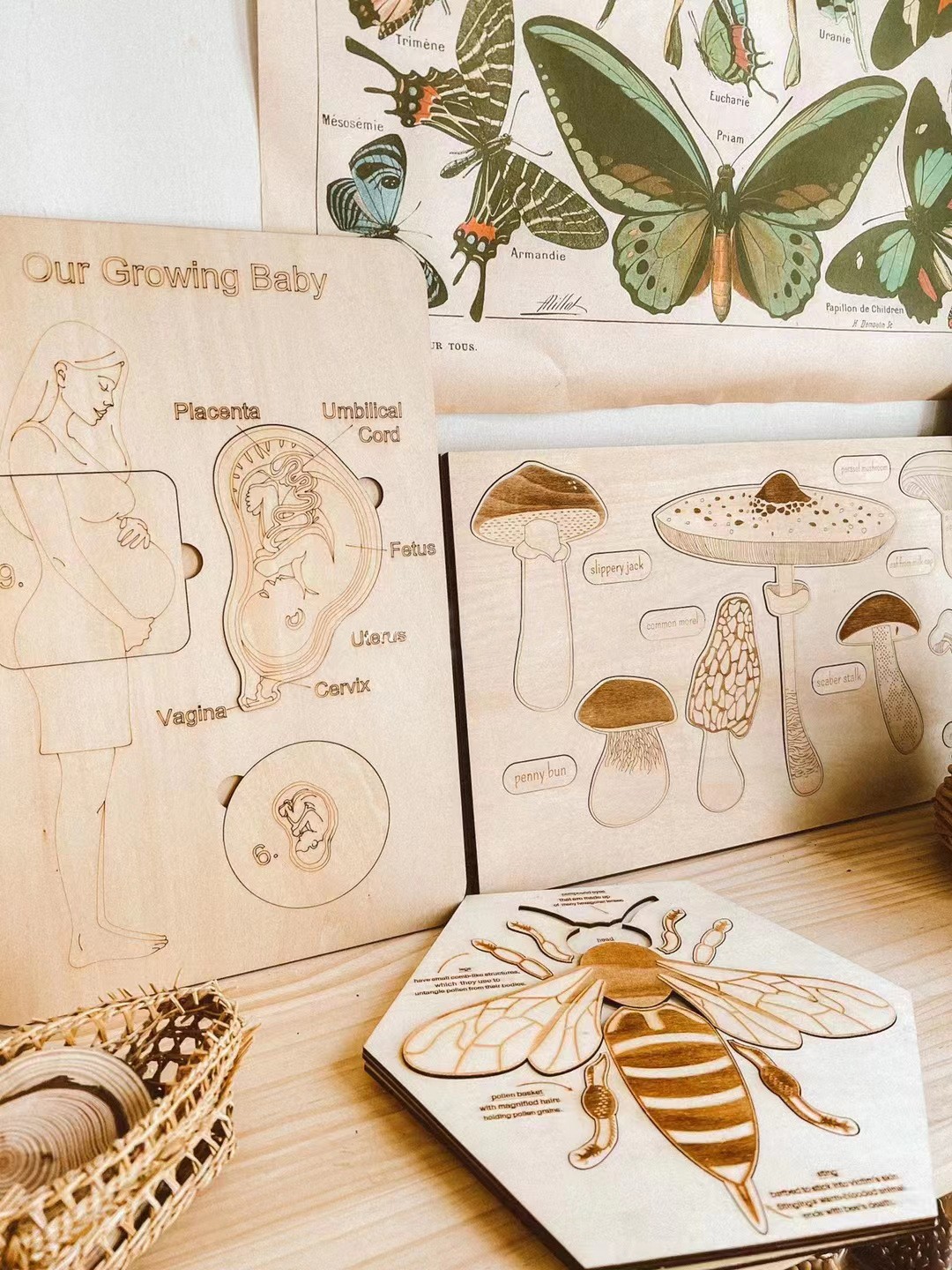 Preschool Wood Game Early Educational Learn Pregnant Mom Human Body Parts Montessori Toy Wooden Magnetic 3D Puzzles for Toddlers