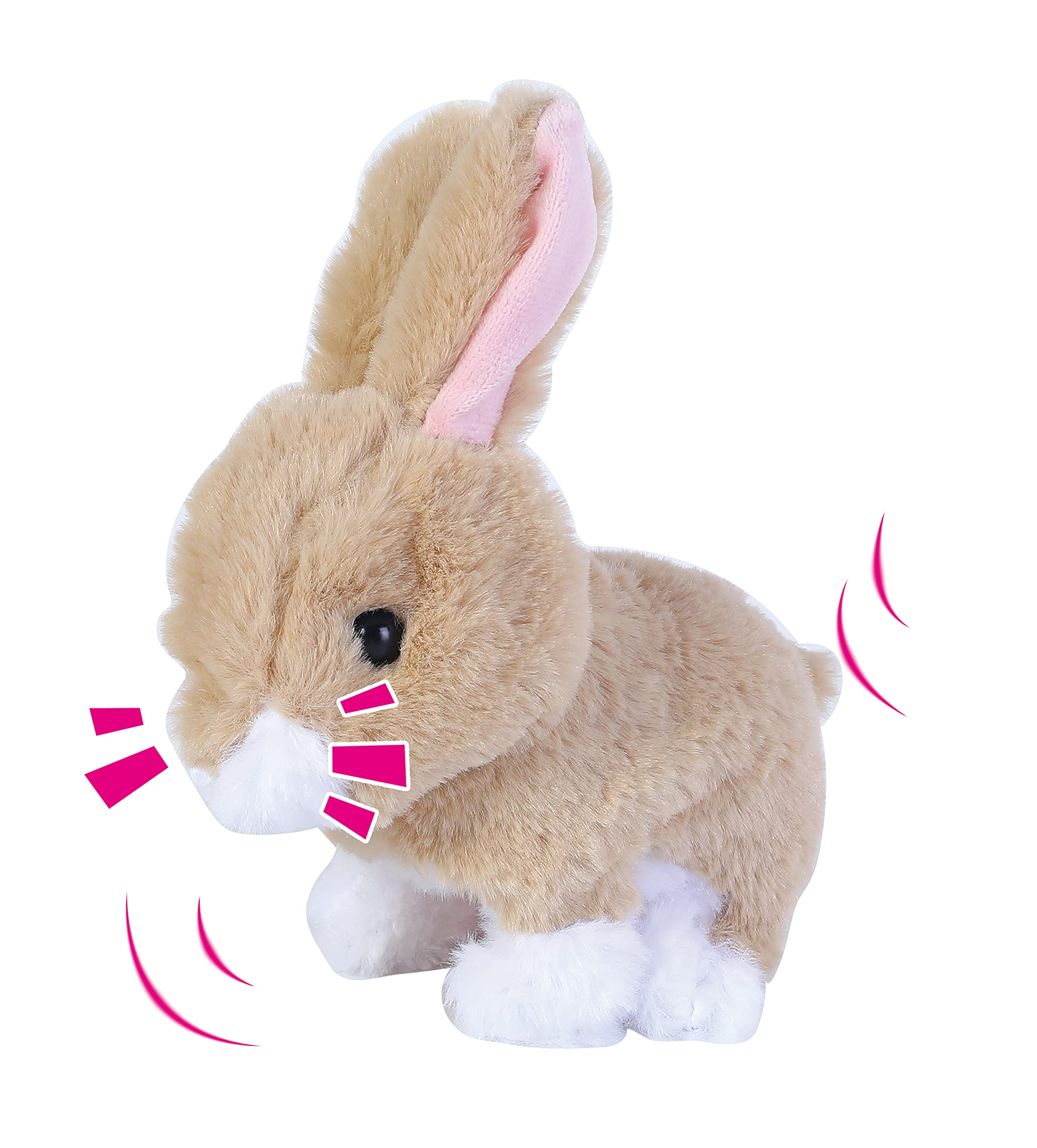 Related Product 3