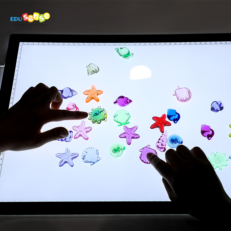 EDUSENSE Customized 36pcs Montessori Educational Transparent Texture Shells Cognition Color Learning Toy for Kids
