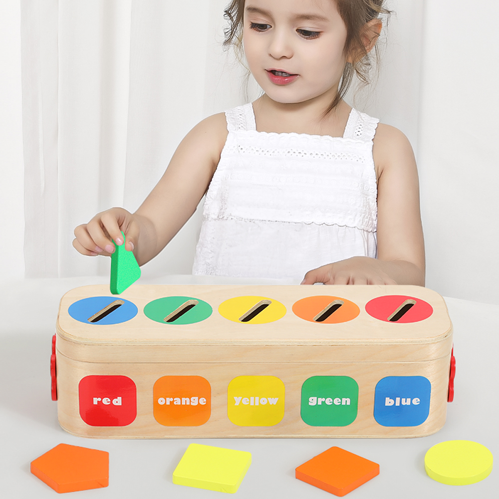 Montessori Wooden Shape Color Sorting Geometric Pattern Matching Game Educational Fine Motor Skills Toy for 2-4 Year Old Boys