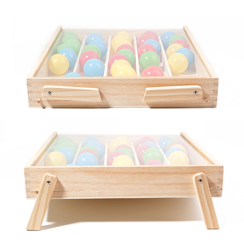 Educational Fine Motor Skills Tools for Kids Classic Color Sorting Ball Matching Trays Montessori Learning Toys