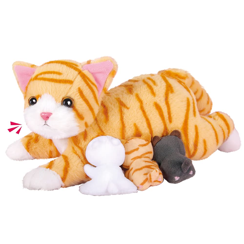 Related Product 2