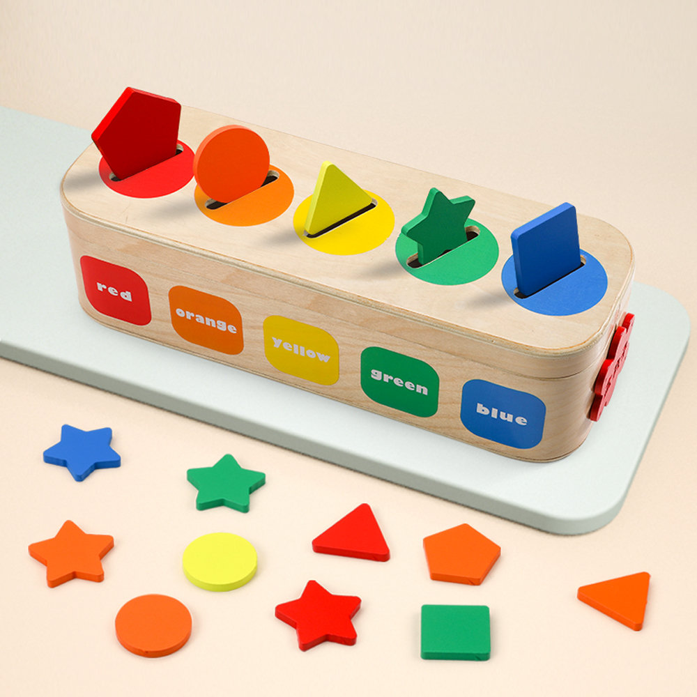 Montessori Wooden Shape Color Sorting Geometric Pattern Matching Game Educational Fine Motor Skills Toy for 2-4 Year Old Boys
