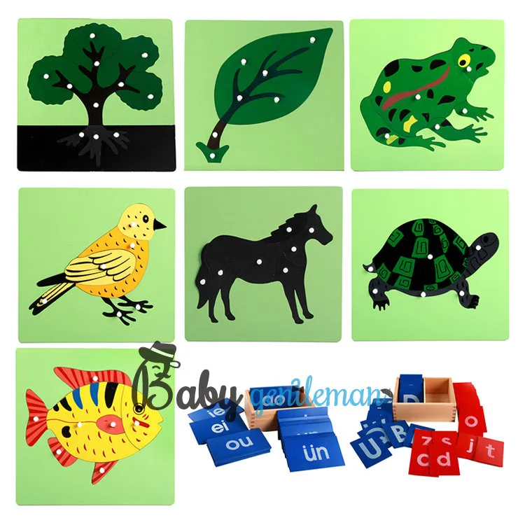 Montessori Science Kit
