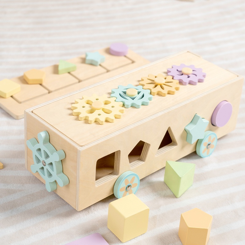 Color &amp; Shape Sorting Learning Matching Toys, Kids Montessori Toys, Preschool Early Learning Educational Toys for Baby Toddlers