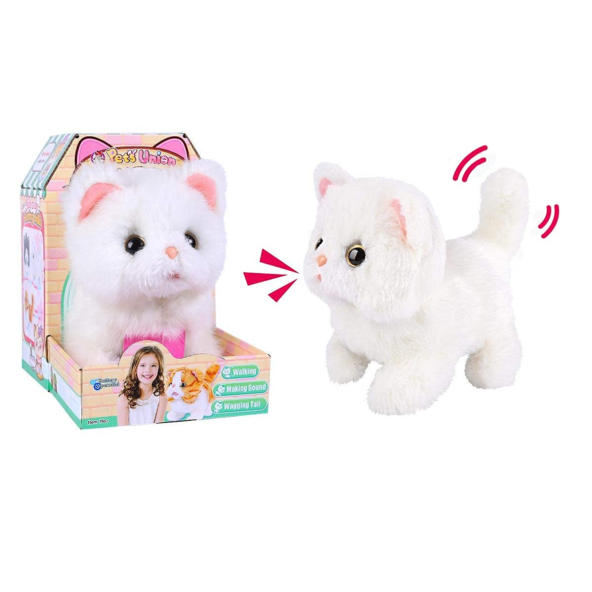 Related Product 5