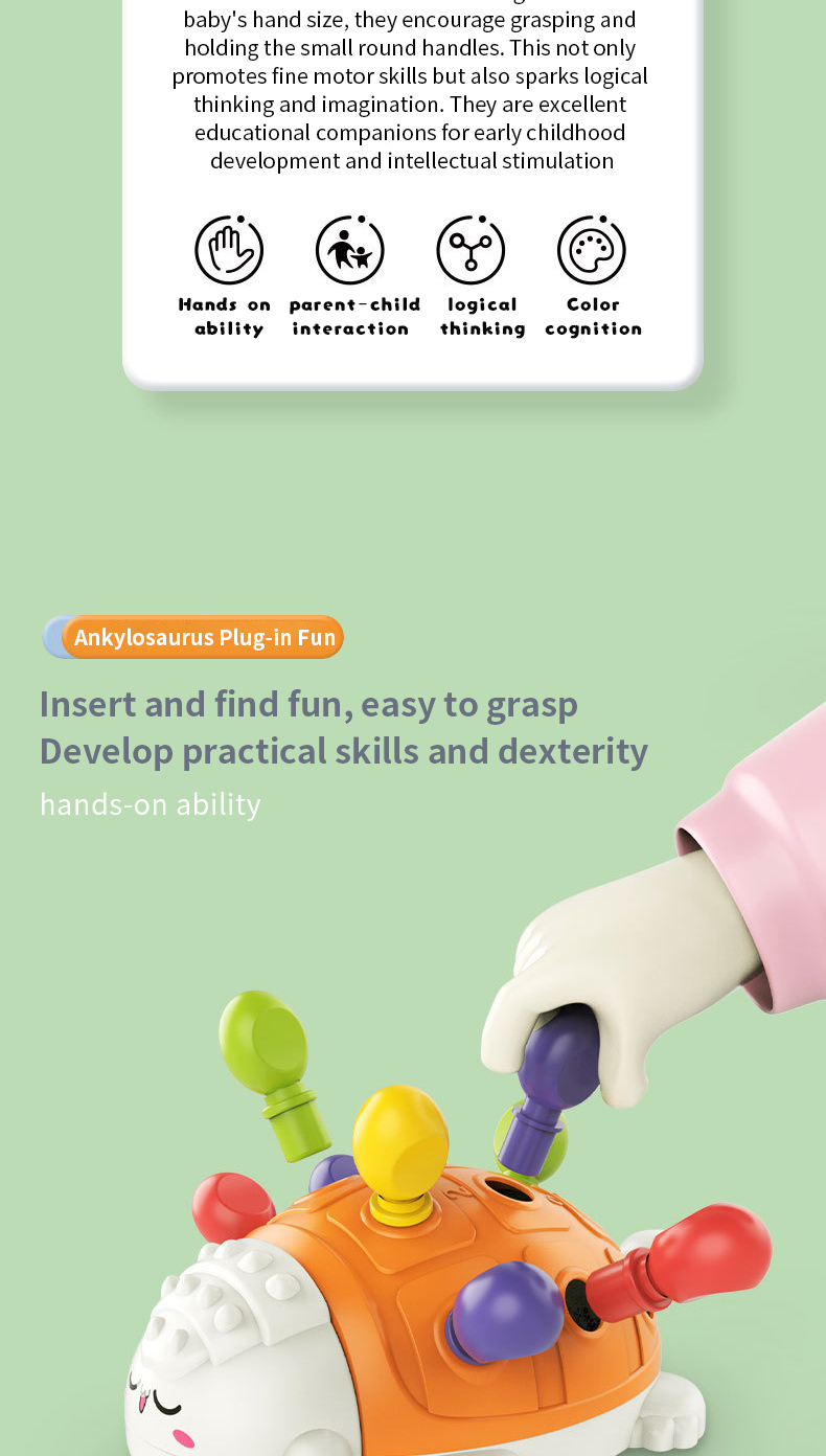 Early Education Toys