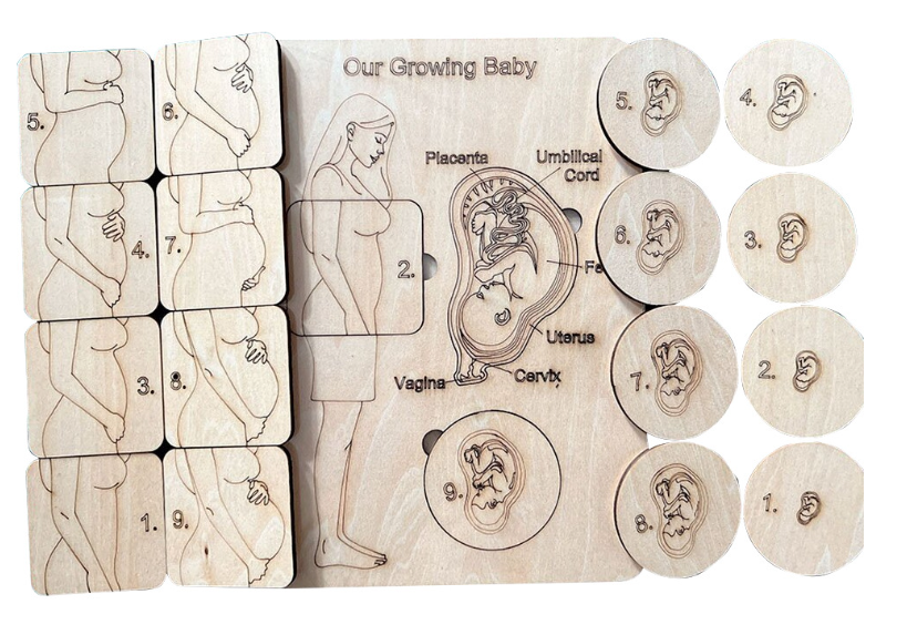 Preschool Wood Game Early Educational Learn Pregnant Mom Human Body Parts Montessori Toy Wooden Magnetic 3D Puzzles for Toddlers