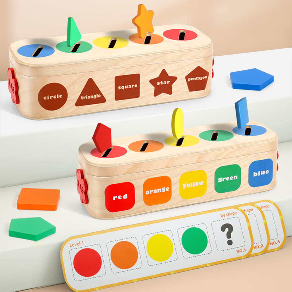 Montessori Wooden Shape Color Sorting Geometric Pattern Matching Game Educational Fine Motor Skills Toy for 2-4 Year Old Boys