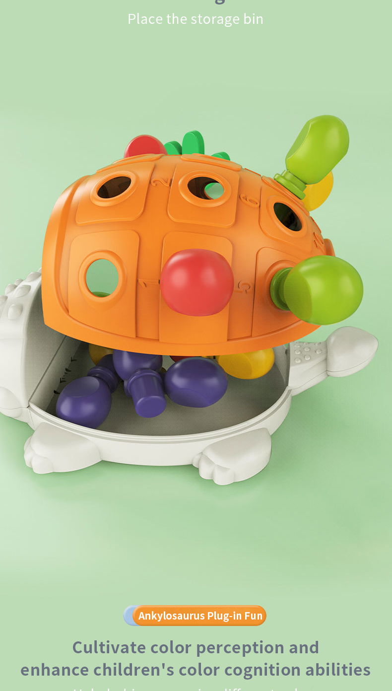 Sensory Toys