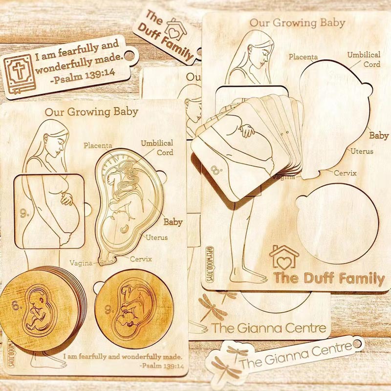 Preschool Wood Game Early Educational Learn Pregnant Mom Human Body Parts Montessori Toy Wooden Magnetic 3D Puzzles for Toddlers
