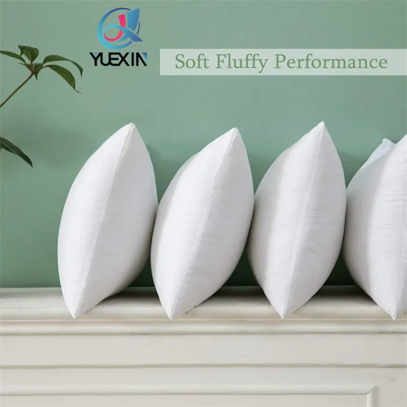 Pillow Insert Photo 2