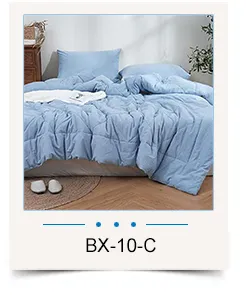 Light Blue Comforter
