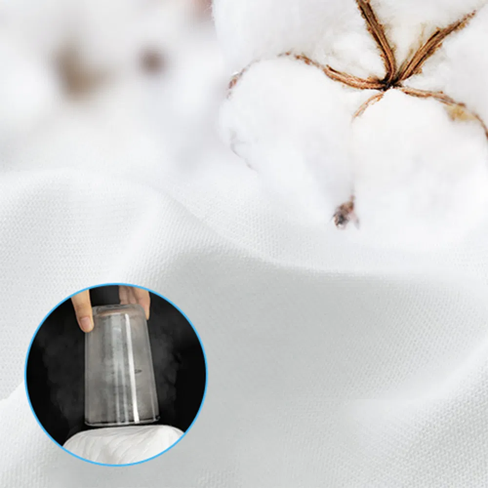 Zippered Mattress Encasement Waterproof Bed Bug Proof Mattress Protector Bed