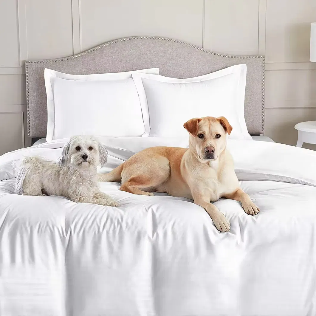 Bedding Set Detail 1