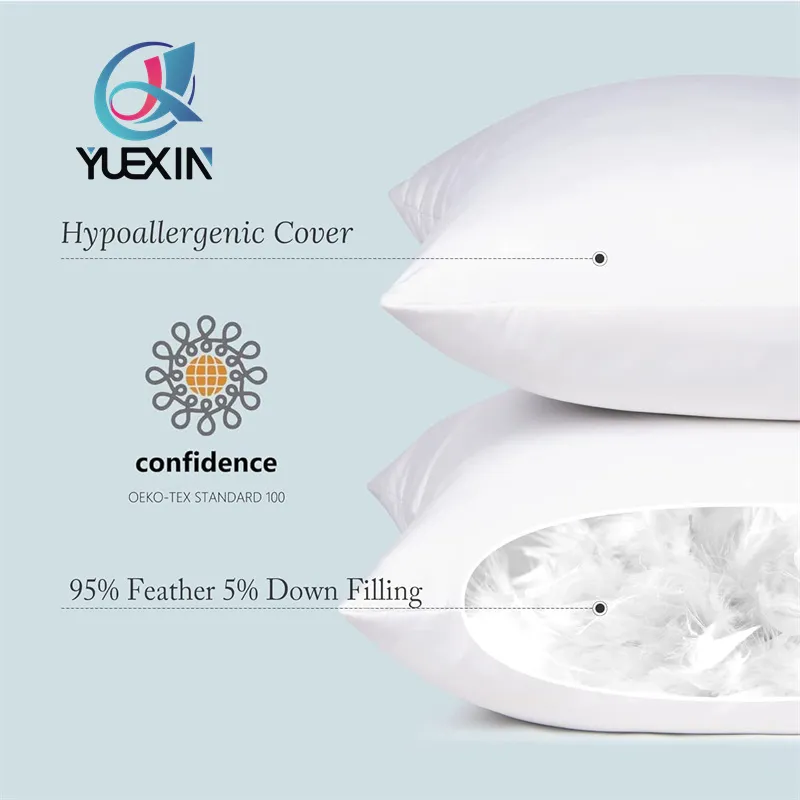 Pillow Insert Photo 6