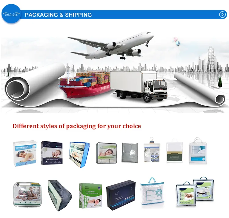 All Season Suitable Ruffle Decor Coverlet Bedding Set